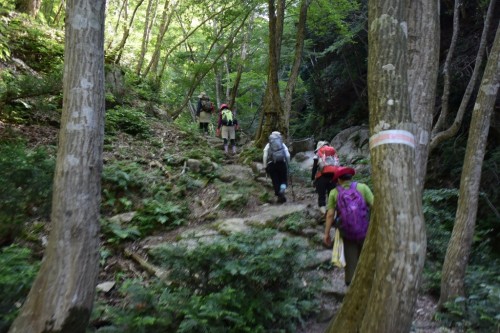 滋賀県・八つ淵の滝トレッキング?
